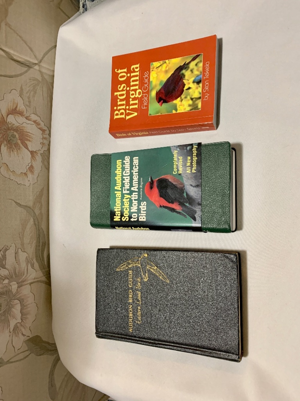 3pc Audubon Field Guide Eastern Land Birds, N American Birds, Birds of Virginia